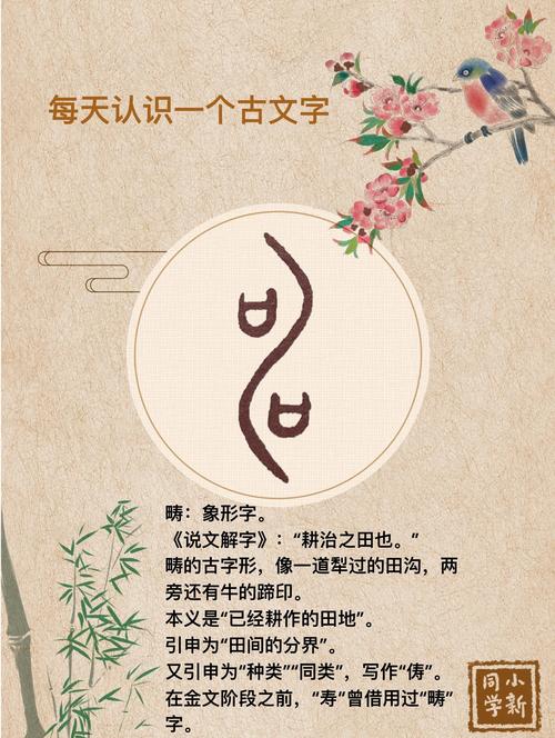 畴字在五行中属于哪一属性？五行属性具体是什么？