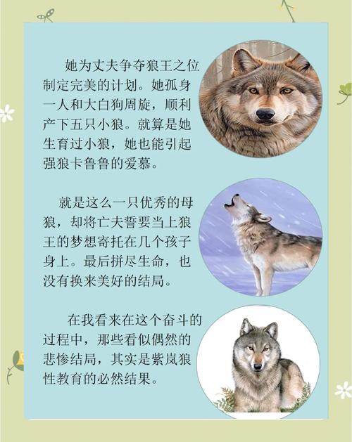 梦见狼却未受伤害为何会感到恐惧，这梦境有何特殊含义？