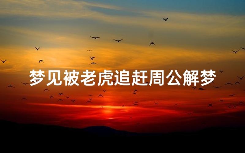 梦见被老虎追赶成功逃脱，这代表什么含义呢？
