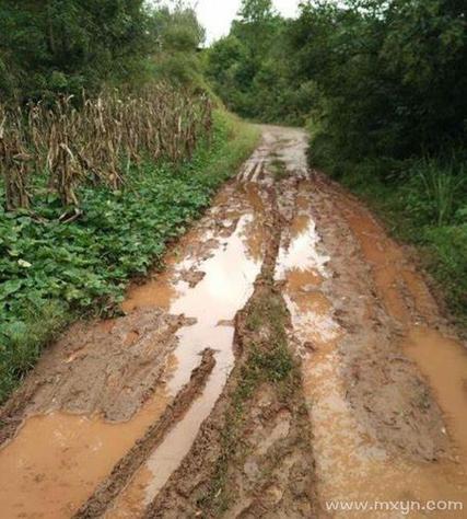 梦见走泥泞的路绕道却掉进激流，这预示着什么？