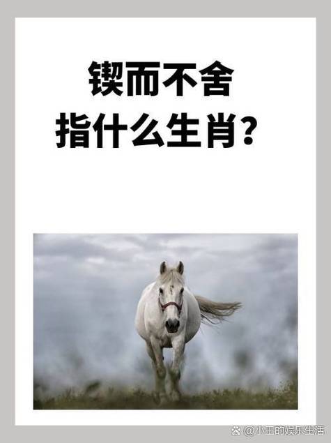 锲而不舍的生肖动物是哪个？