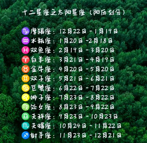 12月8日出生的人属于哪个星座？求解答！