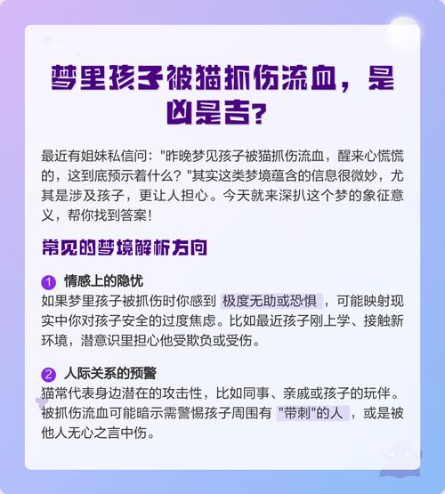 梦见被猫抓出血是什么预兆或象征？