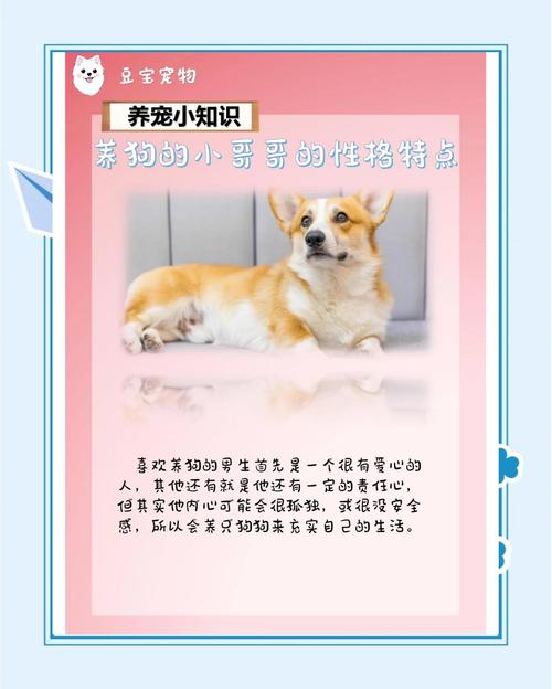 男人喜欢养狗，这说明了他的哪些性格特点呢？