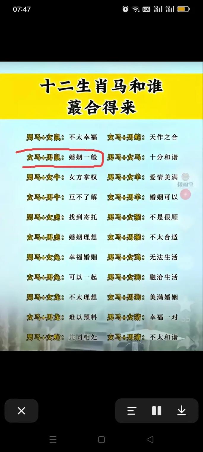 属马与属鼠的人嫩否和谐共事，合作无间呢？