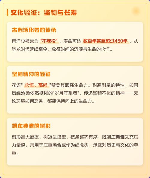 南洋杉作为风水树，其寓意在风水上具体代表什么？