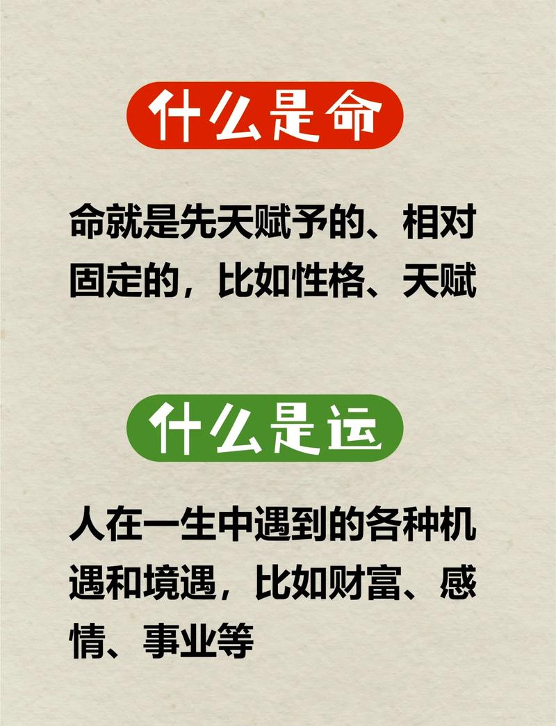 一个人命运究竟由哪些关键因素共同塑造？