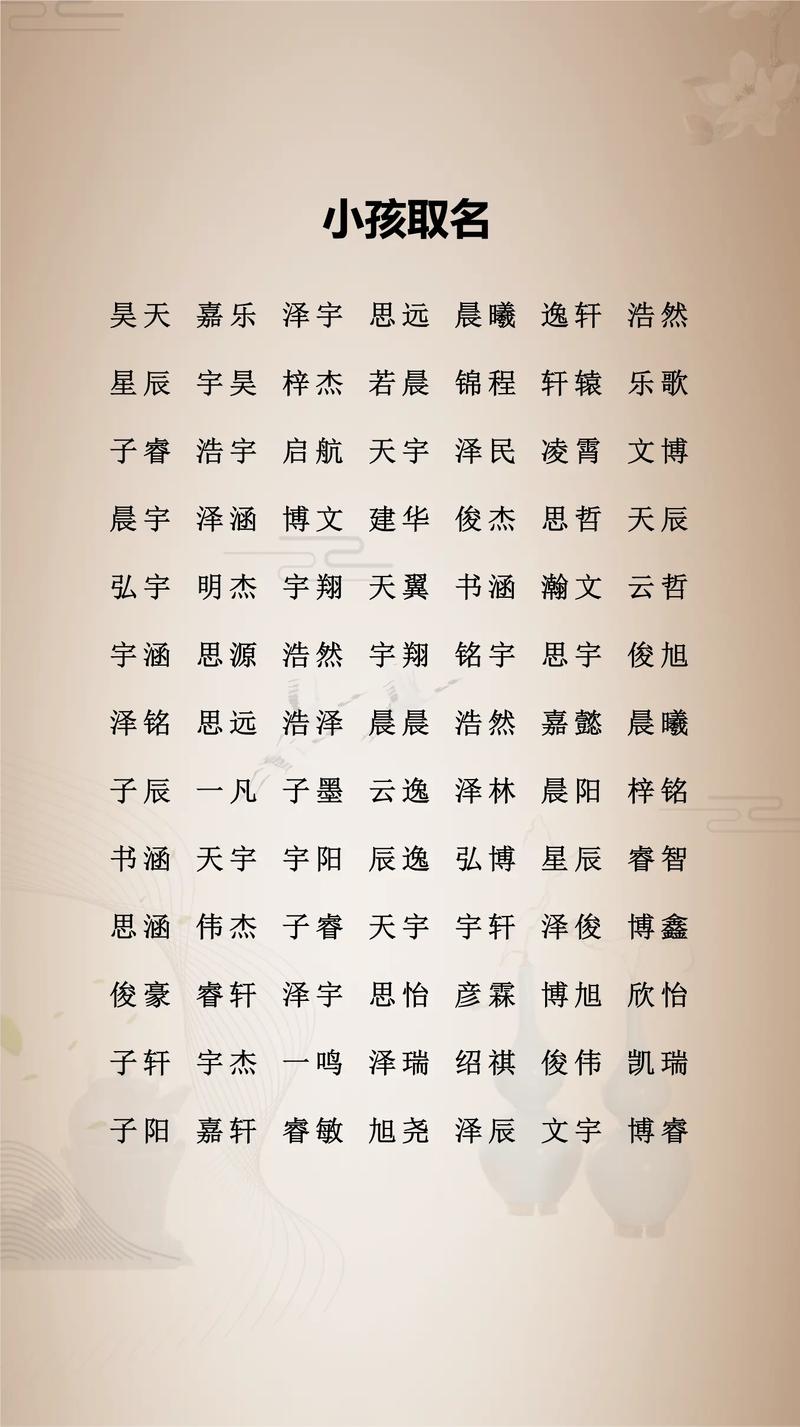 取一个响亮有寓意的男孩名字有什么好建议吗？