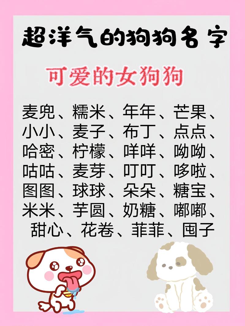 狗狗取什么名字既好听又别具一格呢？原来狗狗名字可以这样取！