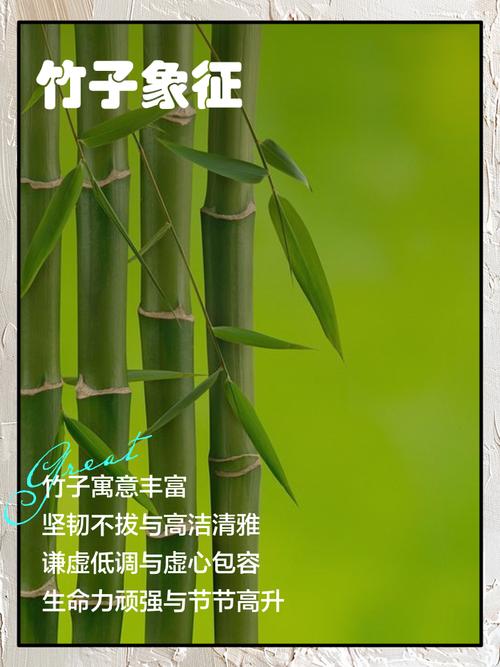 古代竹子有哪些寓意和象征？