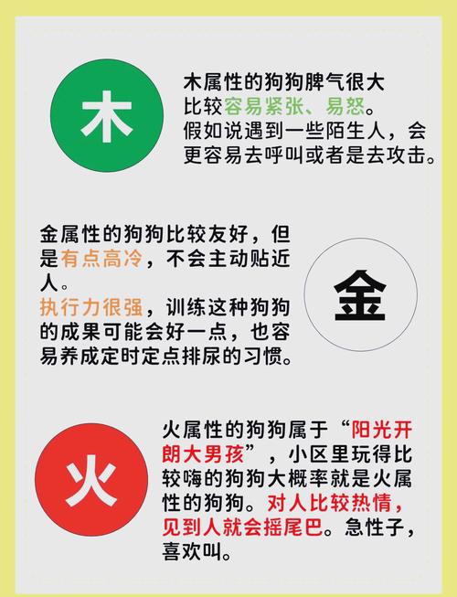 2007年属狗的命格究竟是什么？