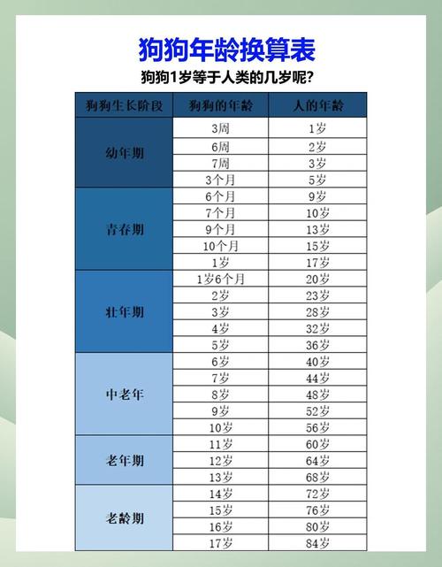 1982年至2019年之间的人现在多大？2019年出生的属狗人现在多大了？