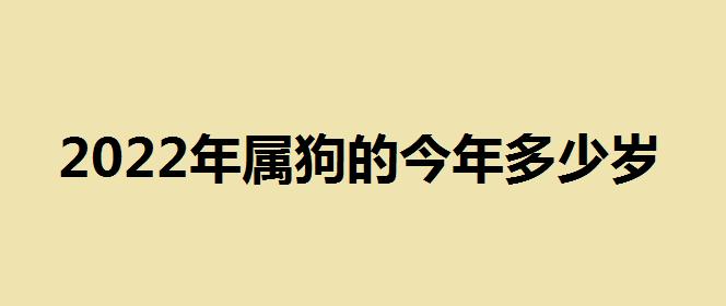 2023年属狗的人今年多少岁？年龄对照表在哪里可以查到？