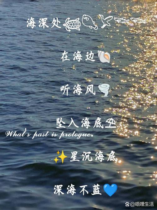 有哪些文艺的海边寓意名字听起来最好听？