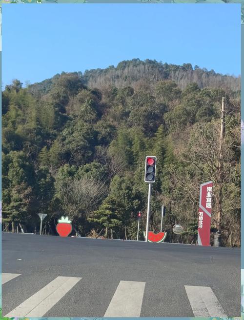 2023年属猴运势详解，今年运势如何？