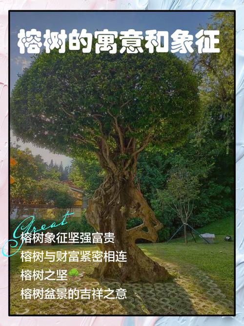 梦见粗壮茂盛的大树结果，这是否预示着什么好运即将来临？