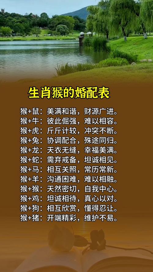 属猴和属猴的结合是否适宜，他们的婚姻生活会怎样？