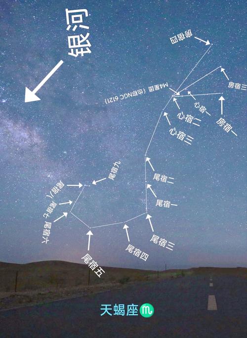 天蝎座究竟属于哪个星座象？