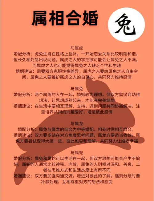 属兔的人与哪个生肖最匹配，成为最佳夫妻伴侣？