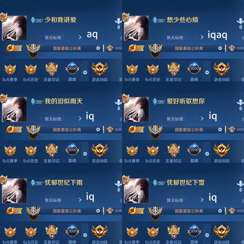 王者荣耀昵称前的蓝色数字代表什么？是玩家等级还是其他信息？