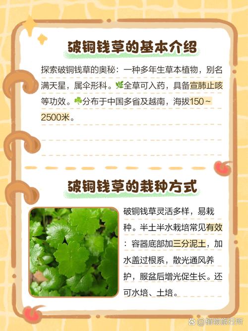 梦见在地里拔草财运如何，这预示着什么好运或挑战？