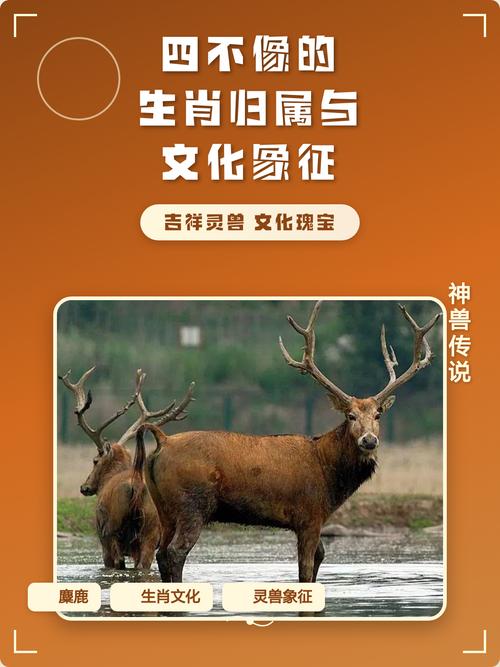 四不像在十二生肖中究竟对应哪个生肖？