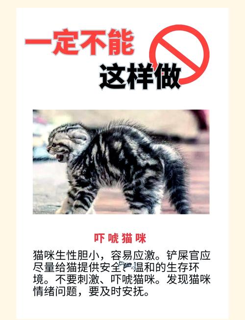 养猫真的能驱鬼吗？为什么民间有养猫防鬼的说法？