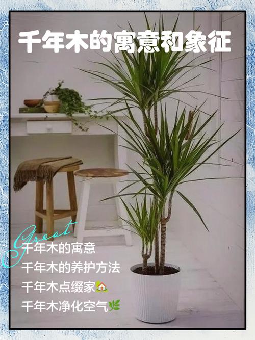 梦见木板预示着什么？是吉是凶？