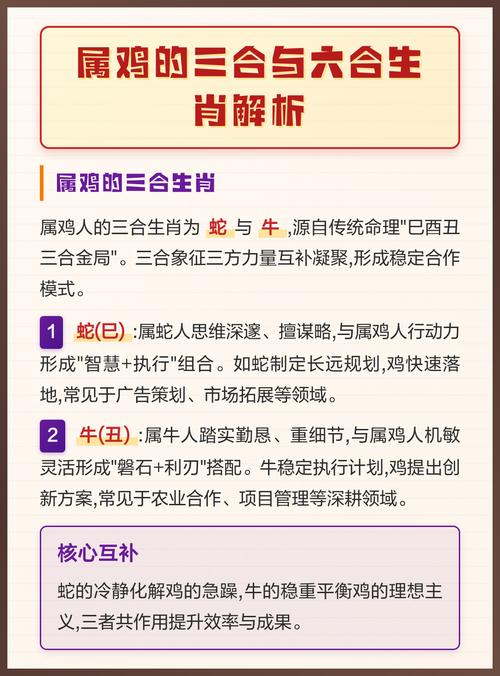 属鸡的人与哪个属相最相合？