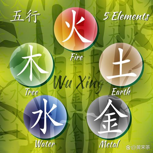 五行学说中金木水火土的基本概念是什么？