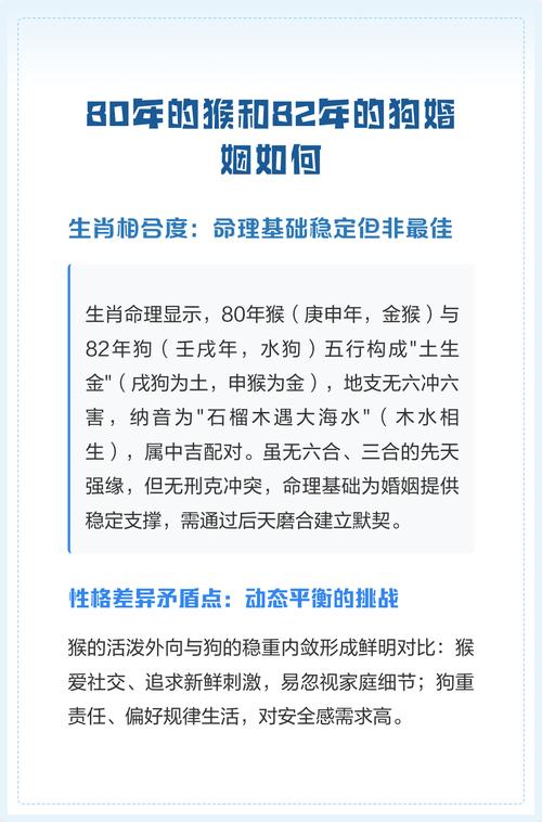 猴和狗的婚姻配对会怎样？他们的婚姻生活是否和谐？
