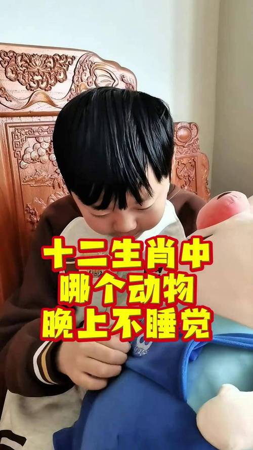 哪个生肖的脑筋转得蕞快，蕞爱动脑筋？