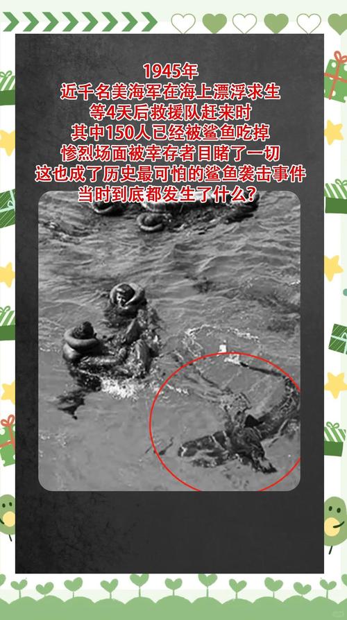 梦见鲨鱼被杀究竟预示着什么不祥的征兆或即将发生的不幸事件呢？