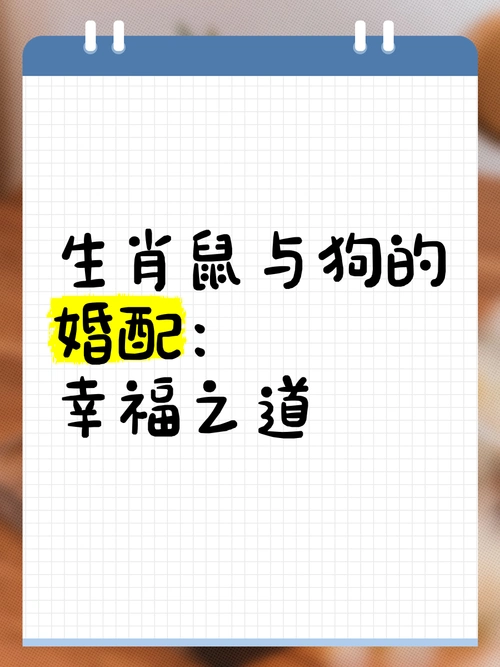 属狗和属鼠的婚配是否相合，他们的婚姻关系是否和谐美满？