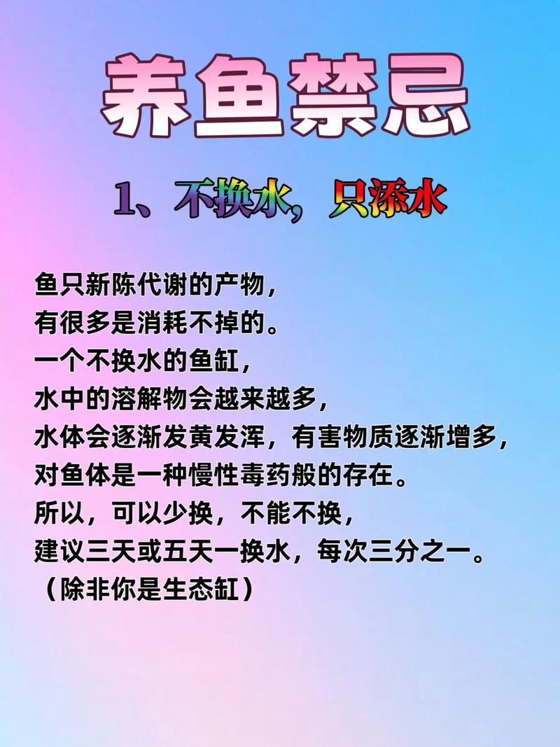 办公室养鱼有哪些风水禁忌和注意事项？
