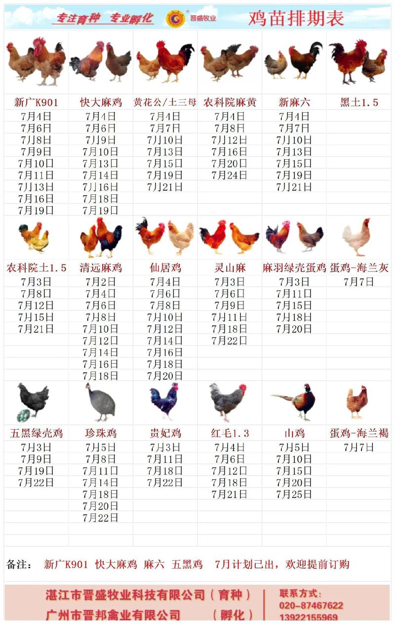 属鸡的人3月17日出生的日期范围是多少？