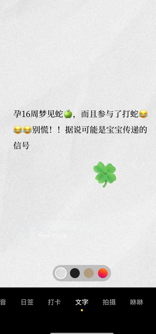 梦见年纪大的母亲双胞胎有什么特殊预兆？