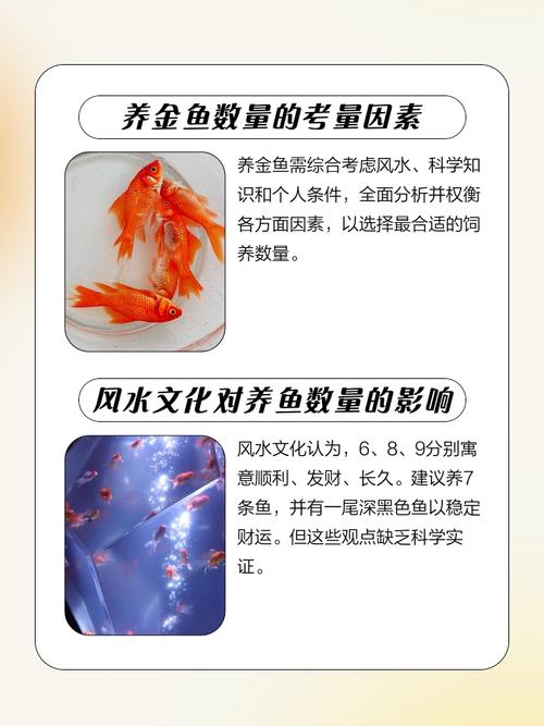 风水鱼养几条蕞有利于旺运，有没有一个蕞佳数量？