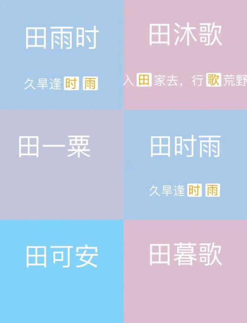 田姓女孩取名，有没有寓意美好的单字名字推荐？