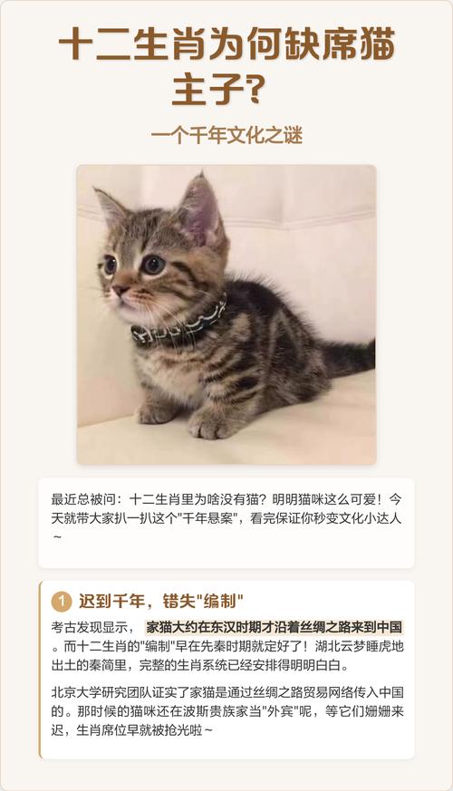 为什么在十二生肖中，可爱猫咪的身影却缺席了？