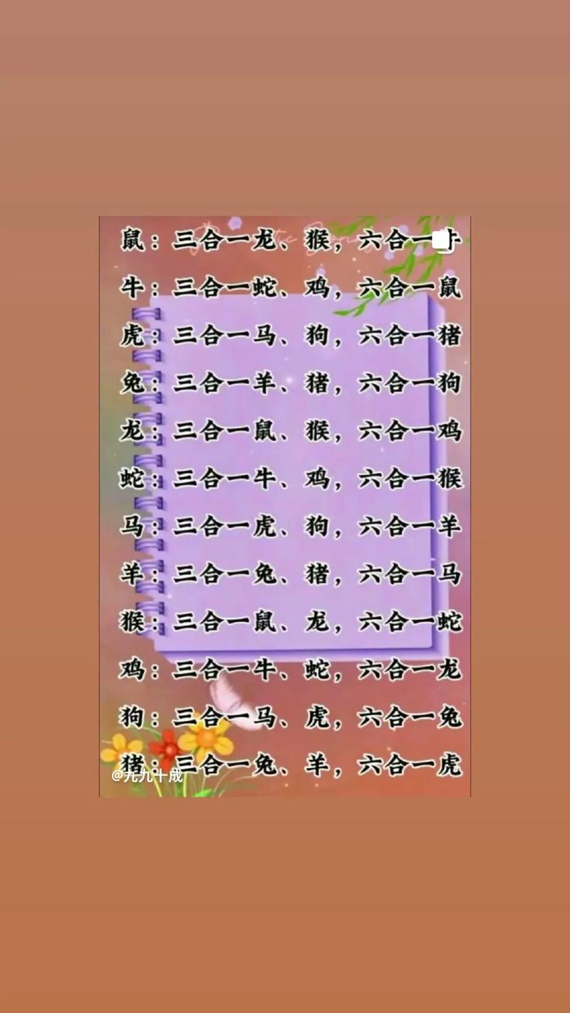四数把三连指的是哪个生肖，能否用单数相连来打出来？