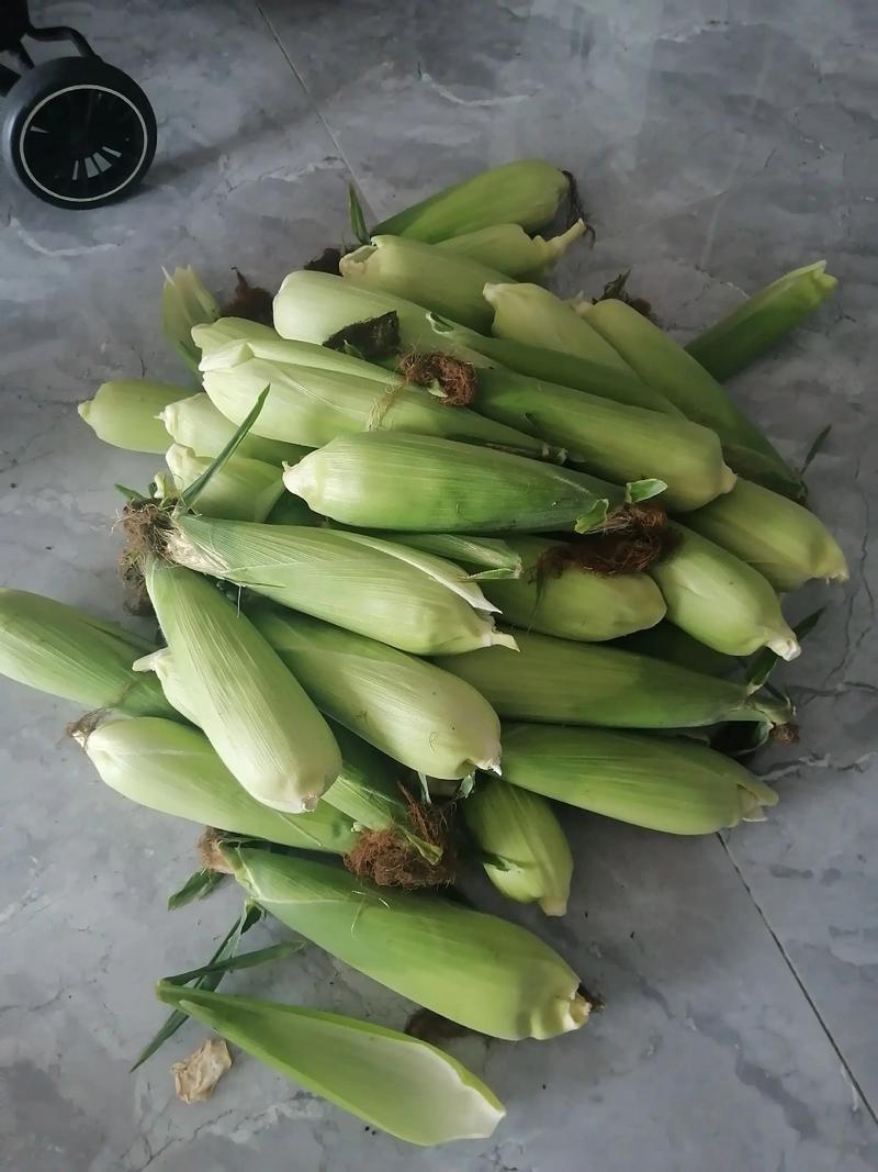 孕妇梦见玉米棒子是预示胎梦的征兆吗？