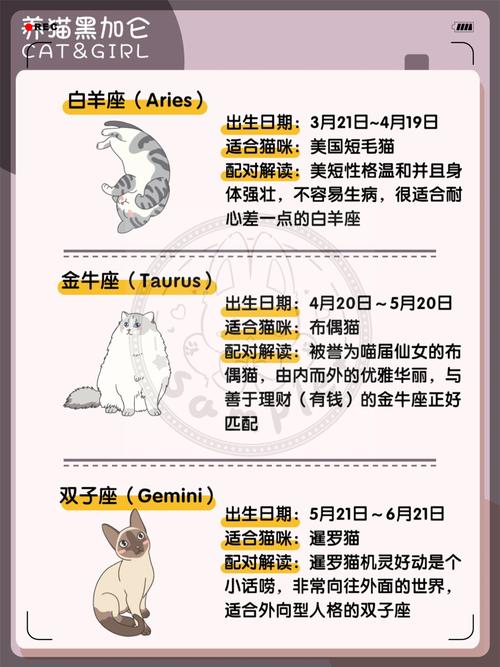 白羊座是否偏爱养宠物？十二星座各自适合养哪些动物？