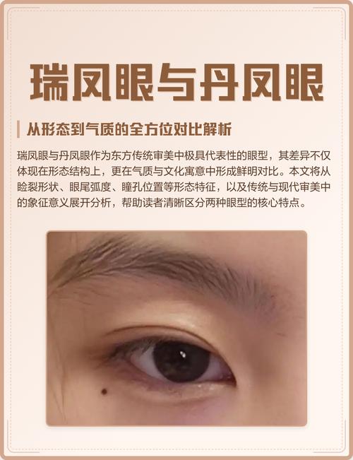 瑞凤眼的人命运究竟如何，这种独特的眼型是否预示着非凡的人生轨迹？