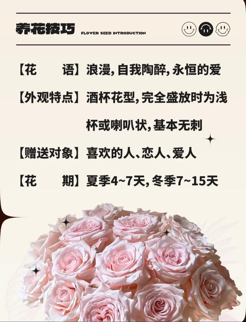 送双鱼座女生什么礼物能表达女神般的心意？