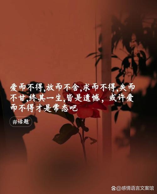 为何情深缘浅，爱而不得的滋味如此苦涩？