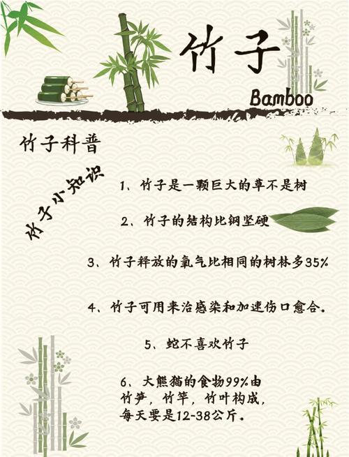 梦见竹林和水分别代表什么含义？