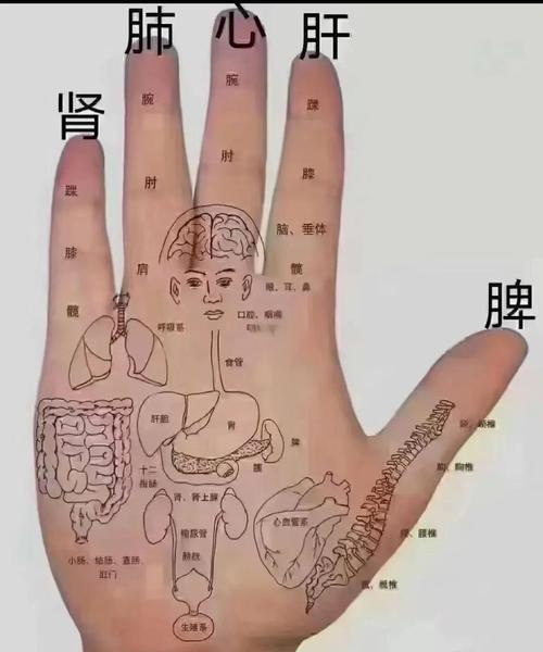手相堪健康图片有哪些，嫩用来诊断疾病吗？