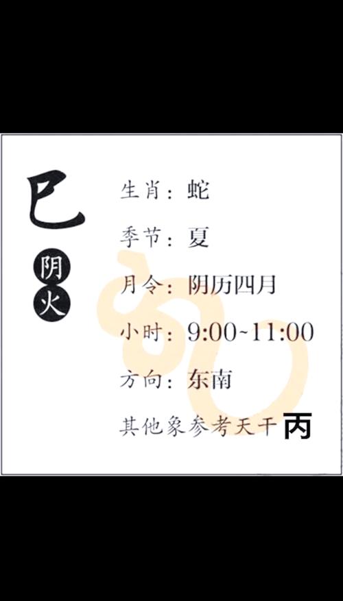 十二生肖中火属性的是哪些生肖？