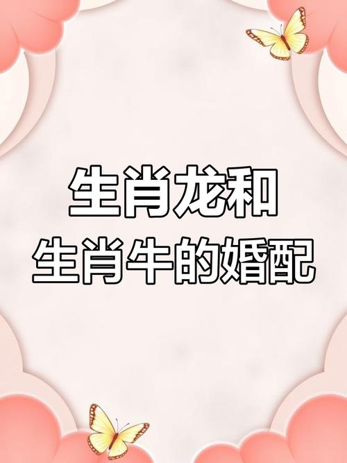 孩子属牛父亲属龙，这对家庭关系有何特殊影响？